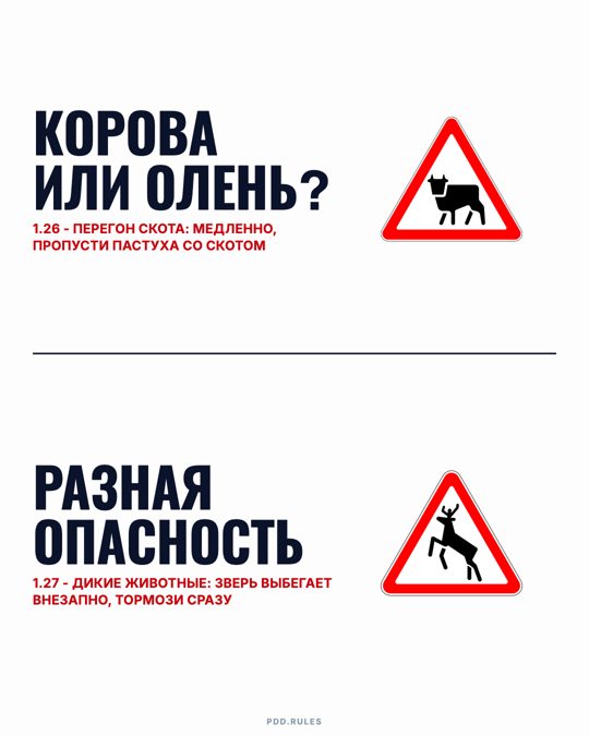 Карусель «Корова или олень?»